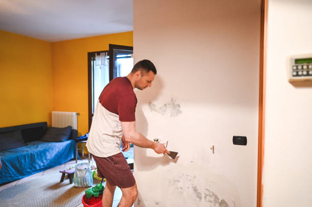 Best HVAC Mold Remediation in Gainesville, FL